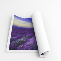 Canvas Roll